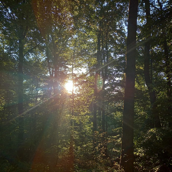 Randonnée Arts et Loisirs